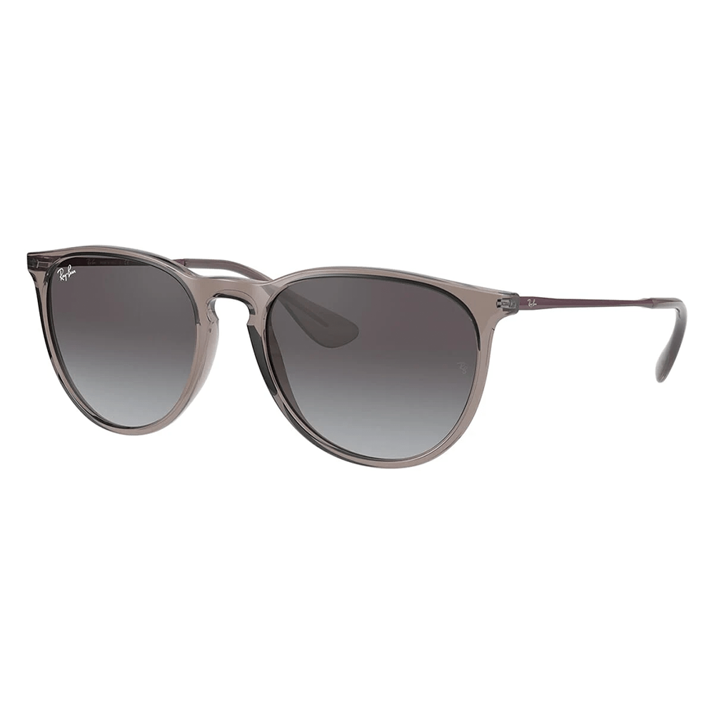 Ray-Ban Erika RB4171 Sunglasses - 65138G