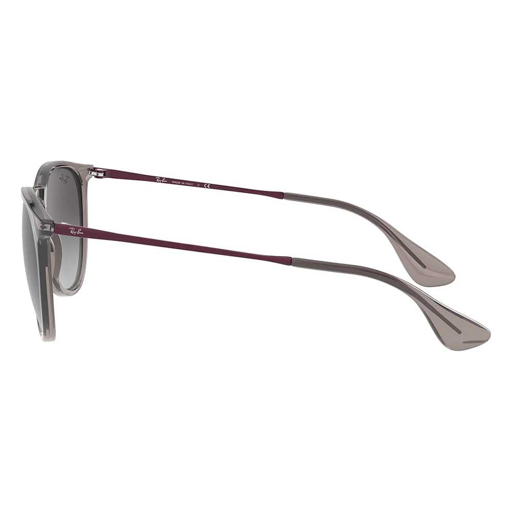 Ray-Ban Erika RB4171 Sunglasses - 65138G