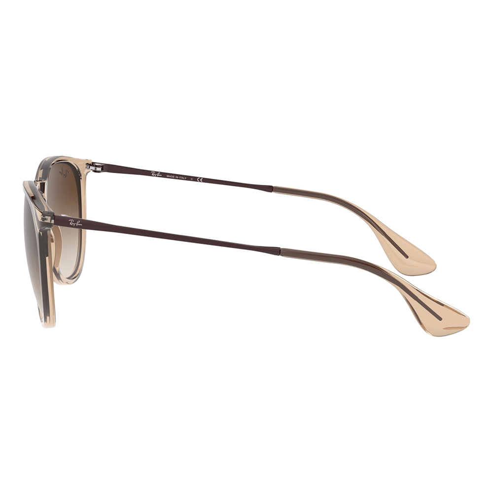 Ray-Ban Erika RB4171 Sunglasses - 651413