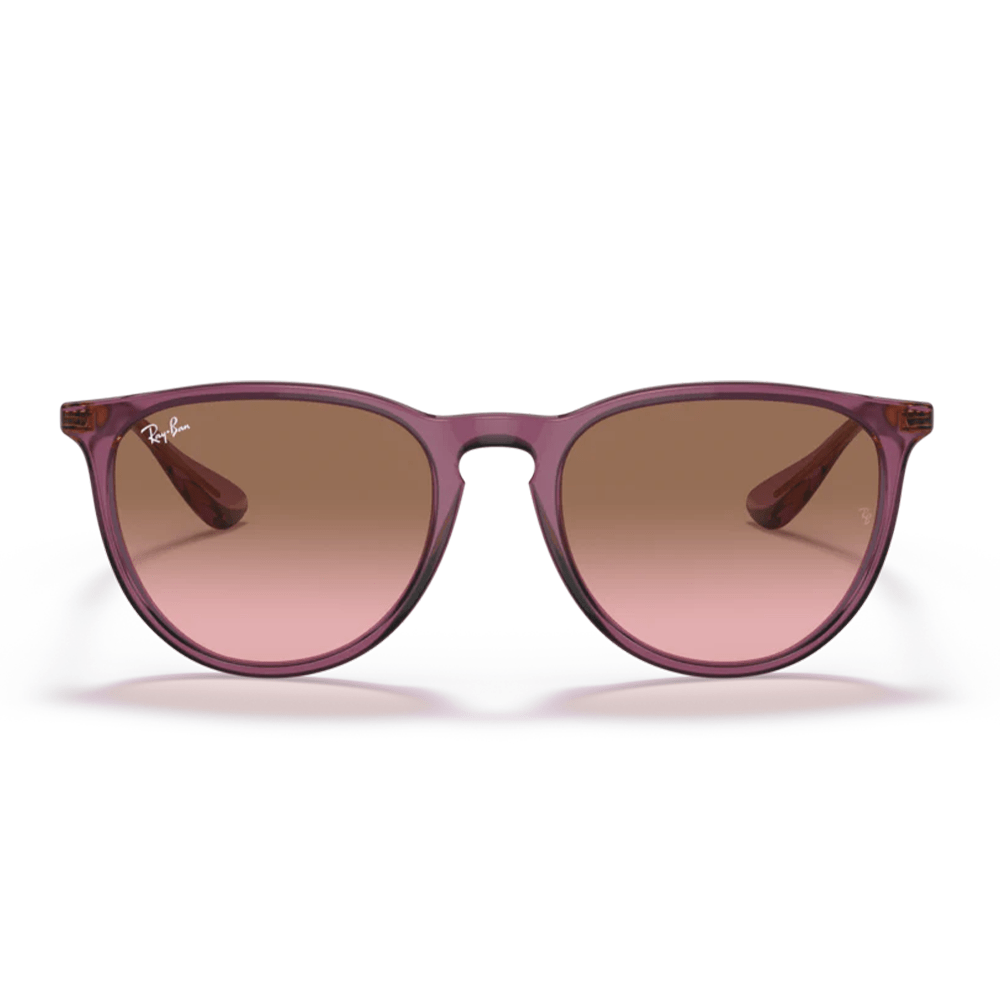 Ray-Ban Erika RB4171 Sunglasses - 659114