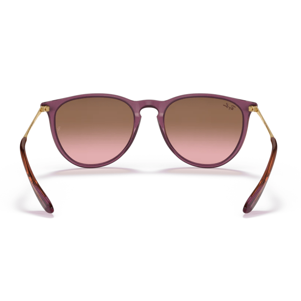 Ray-Ban Erika RB4171 Sunglasses - 659114