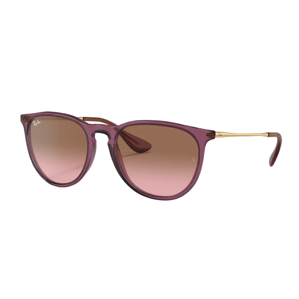 Ray-Ban Erika RB4171 Sunglasses - 659114