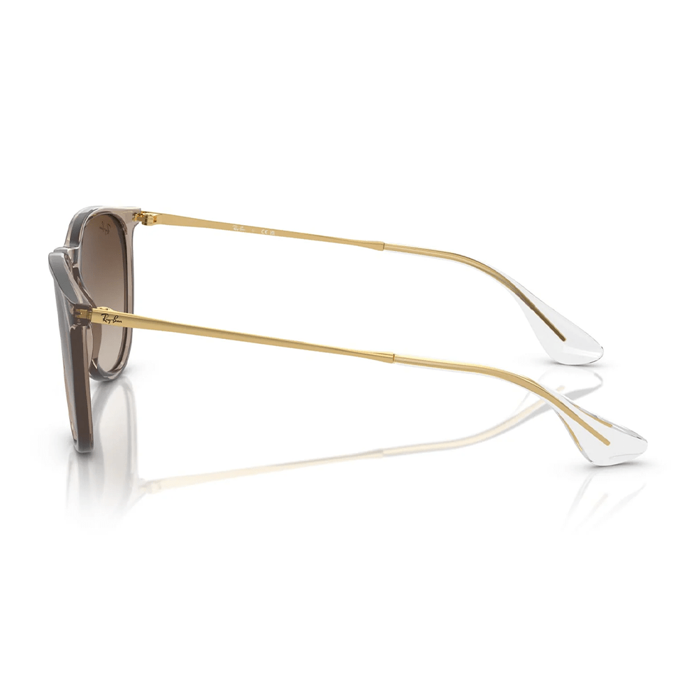 Ray-Ban Erika RB4171 Sunglasses - 674413