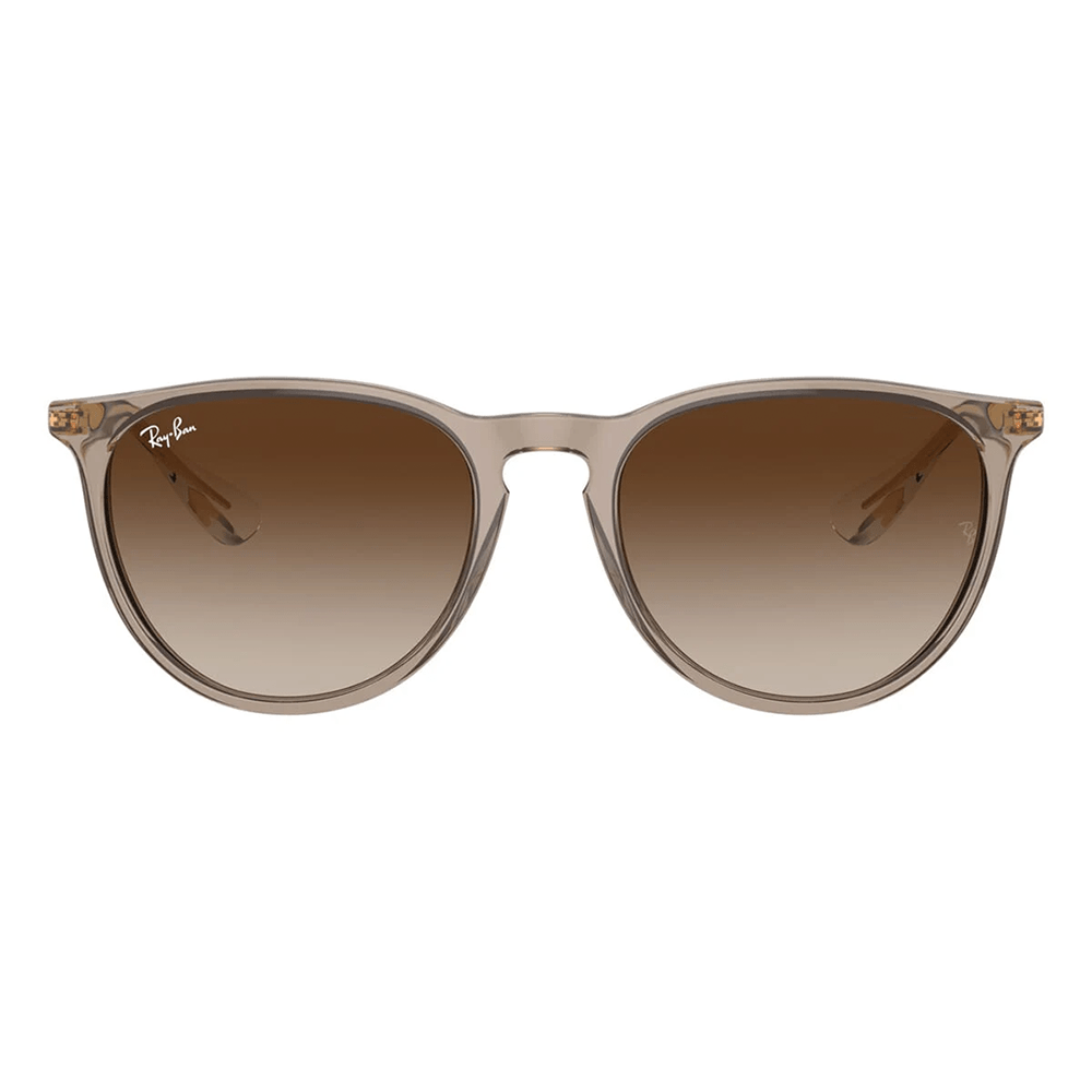 Ray-Ban Erika RB4171 Sunglasses - 674413