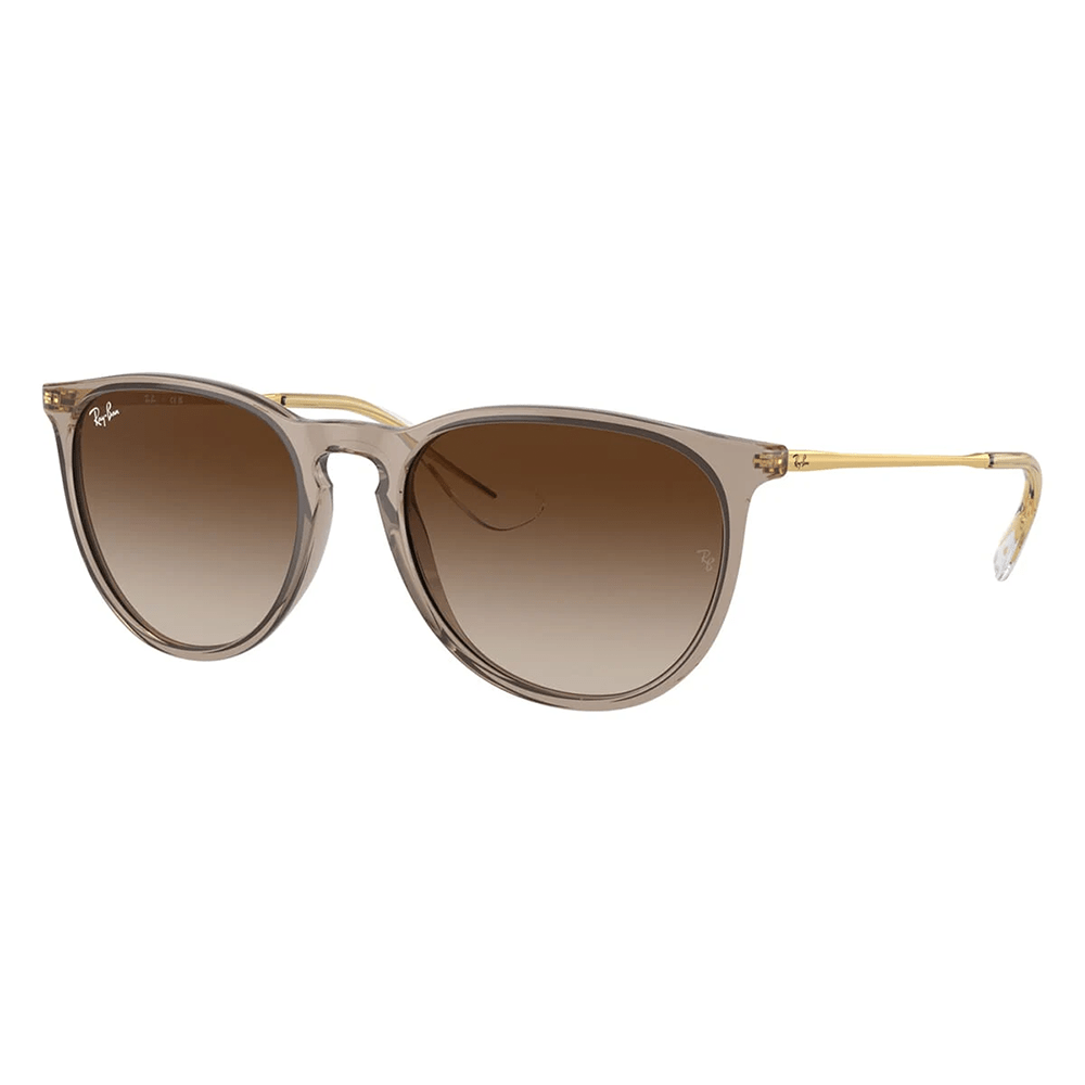 Ray-Ban Erika RB4171 Sunglasses - 674413