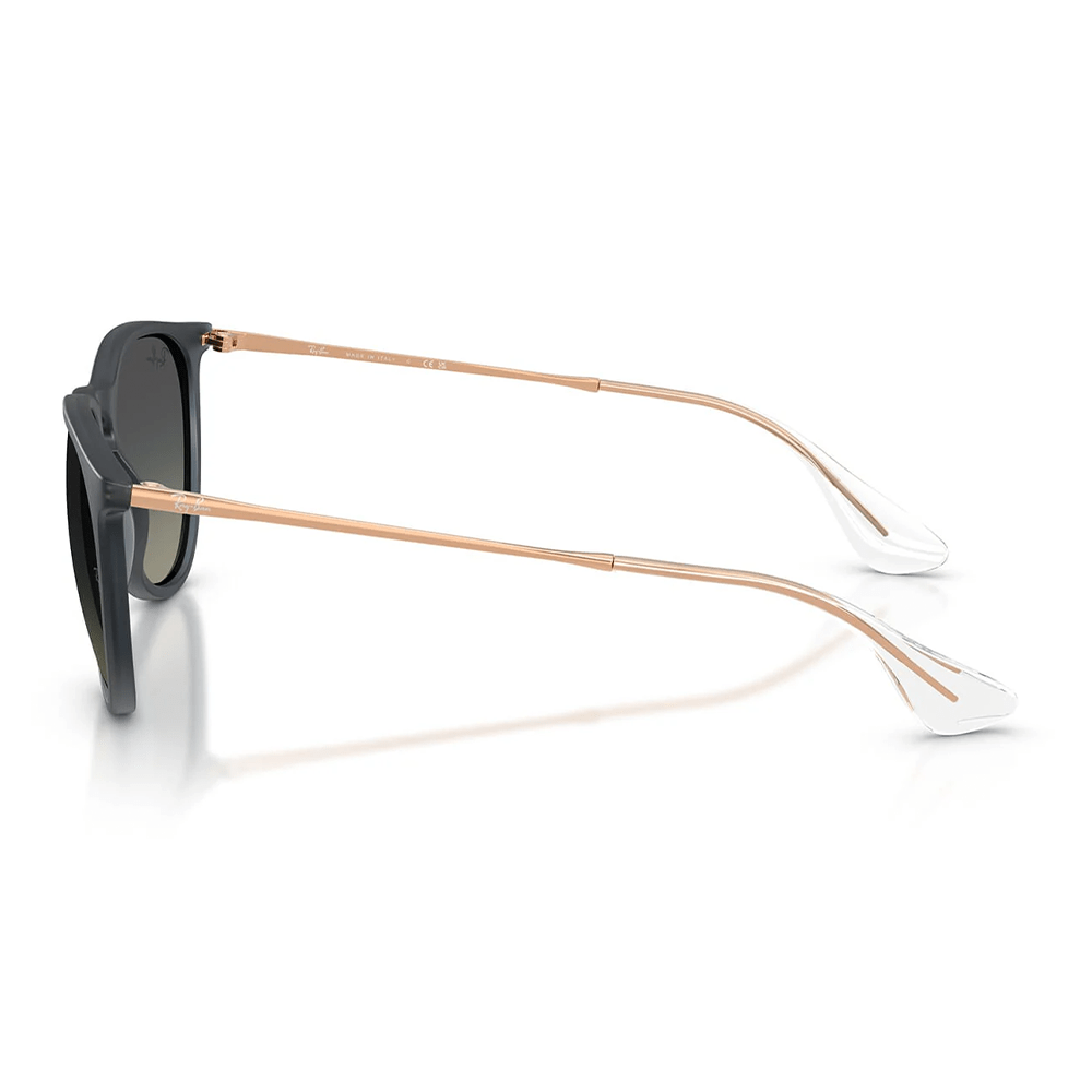 Ray-Ban Erika RB4171 Sunglasses - 681311