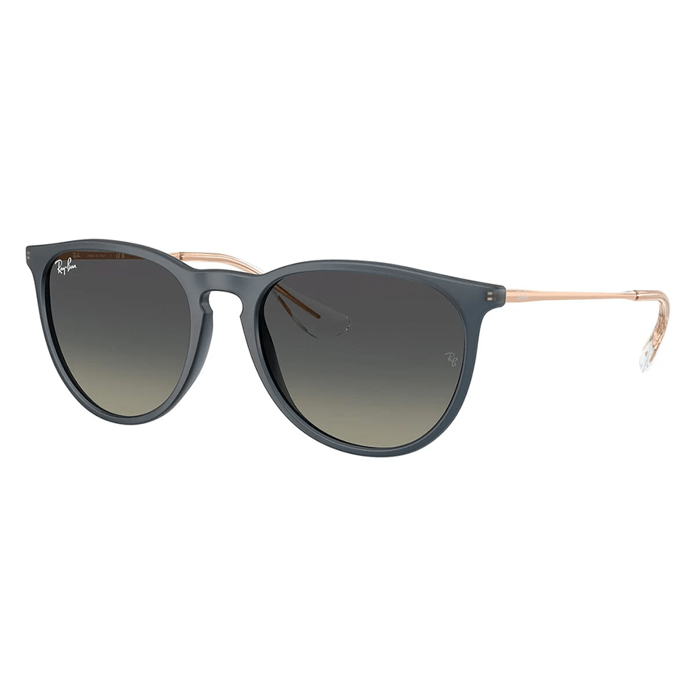 Ray-Ban Erika RB4171 Sunglasses - 681311