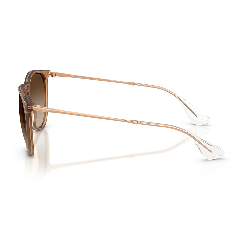 Ray-Ban Erika RB4171 Sunglasses - 681413