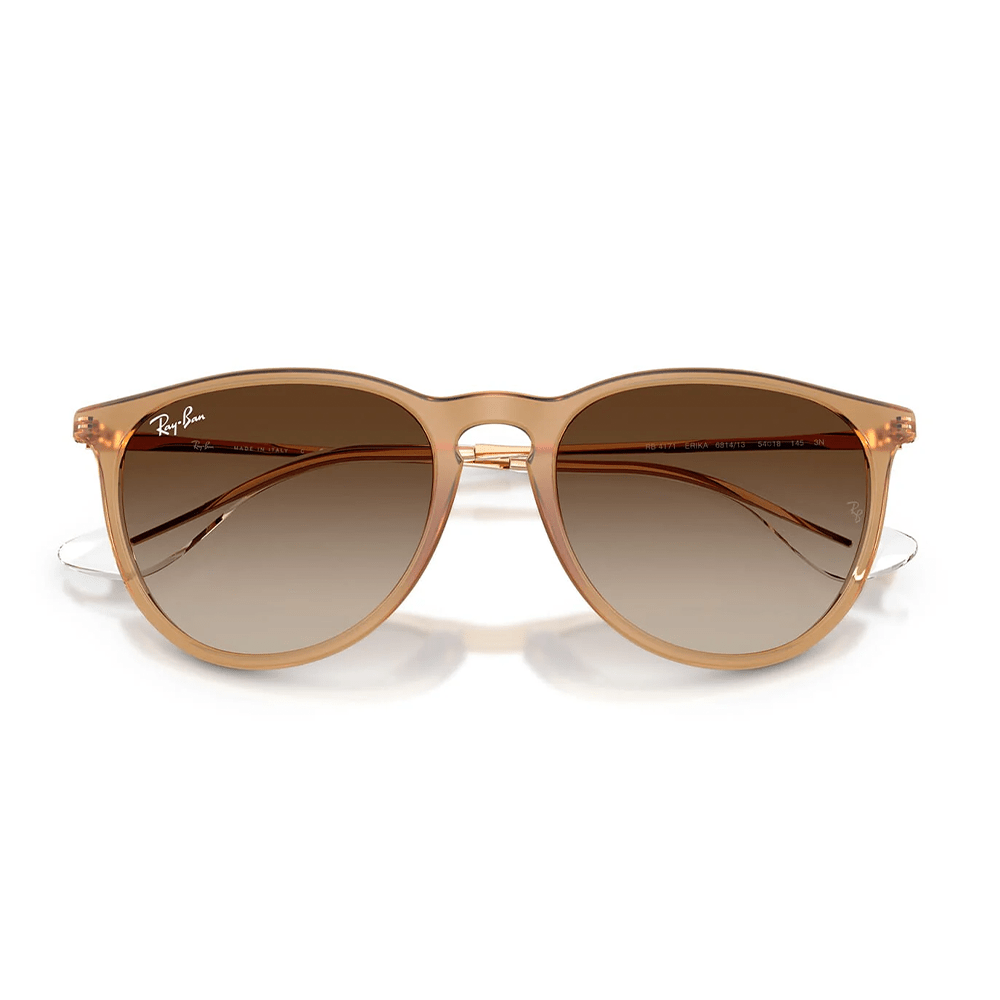 Ray-Ban Erika RB4171 Sunglasses - 681413
