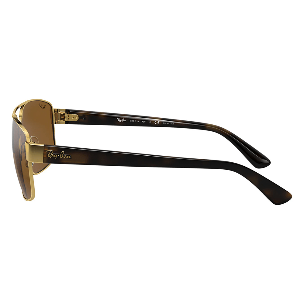 Ray-Ban RB3663 001/57 Polarized Sunglasses