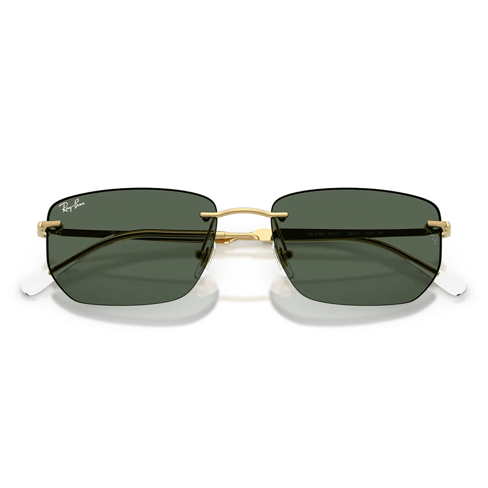 Ray-Ban RB3768 001/71 Sunglasses