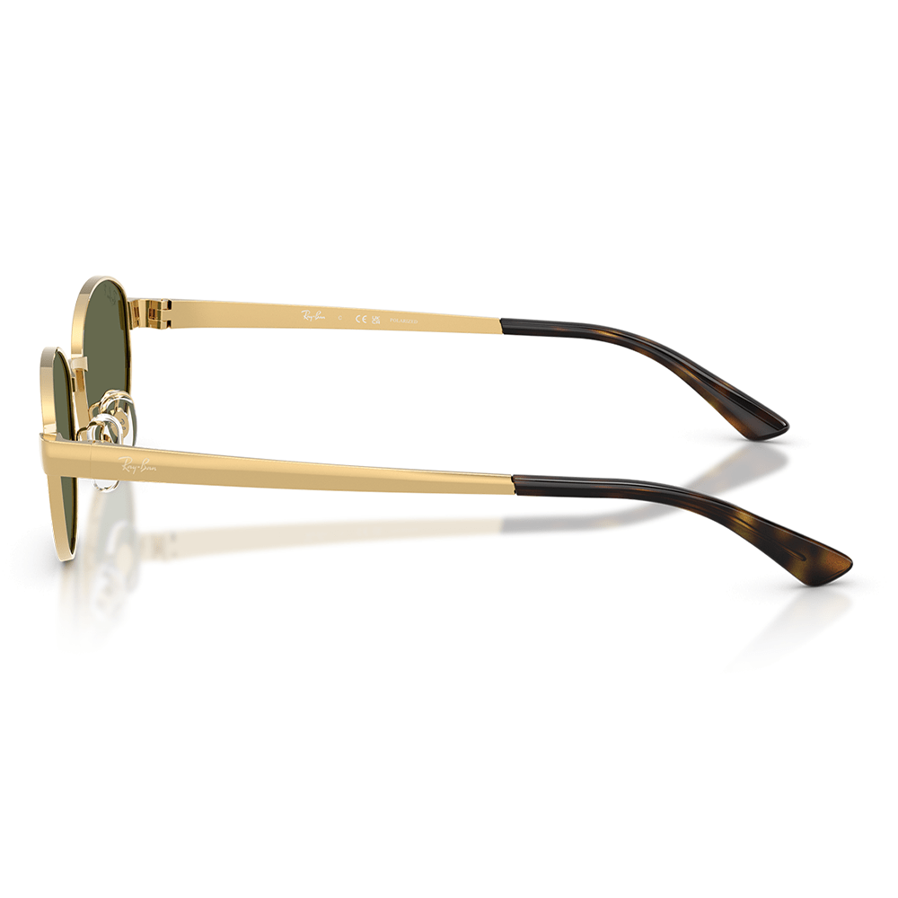 Ray-Ban RB3774D 001/9A Polarized Sunglasses