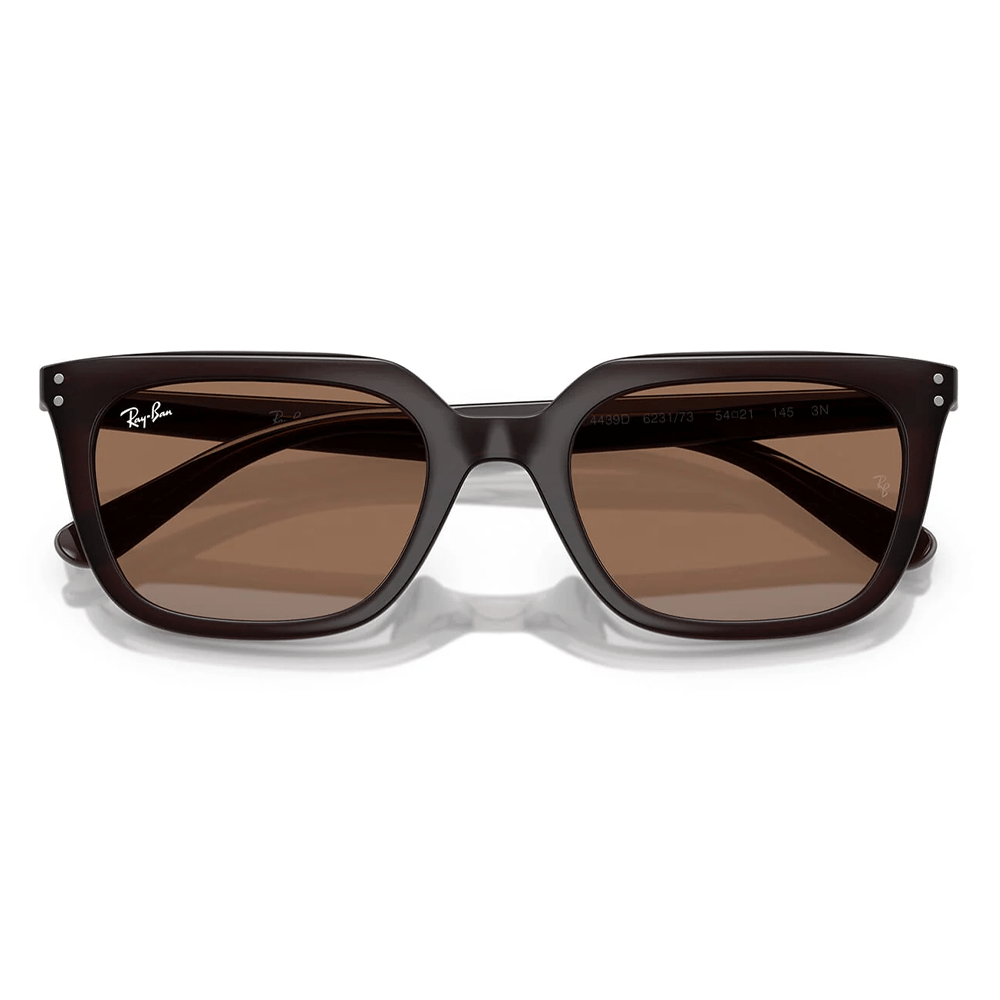 Ray-Ban RB4439D 6231/73 Sunglasses