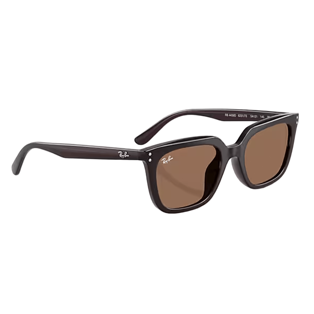 Ray-Ban RB4439D 6231/73 Sunglasses