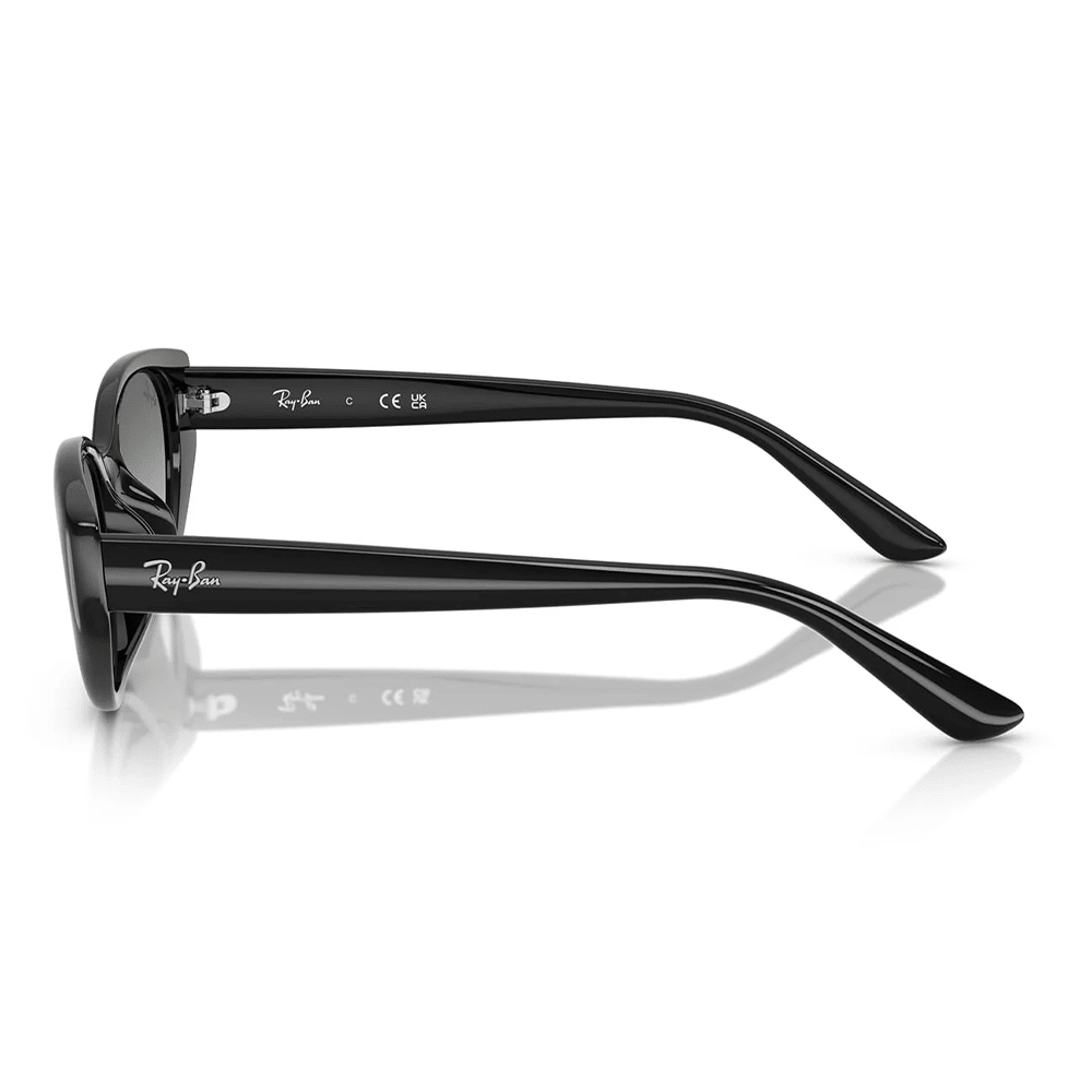Ray-Ban RB4457D 667711 Sunglasses