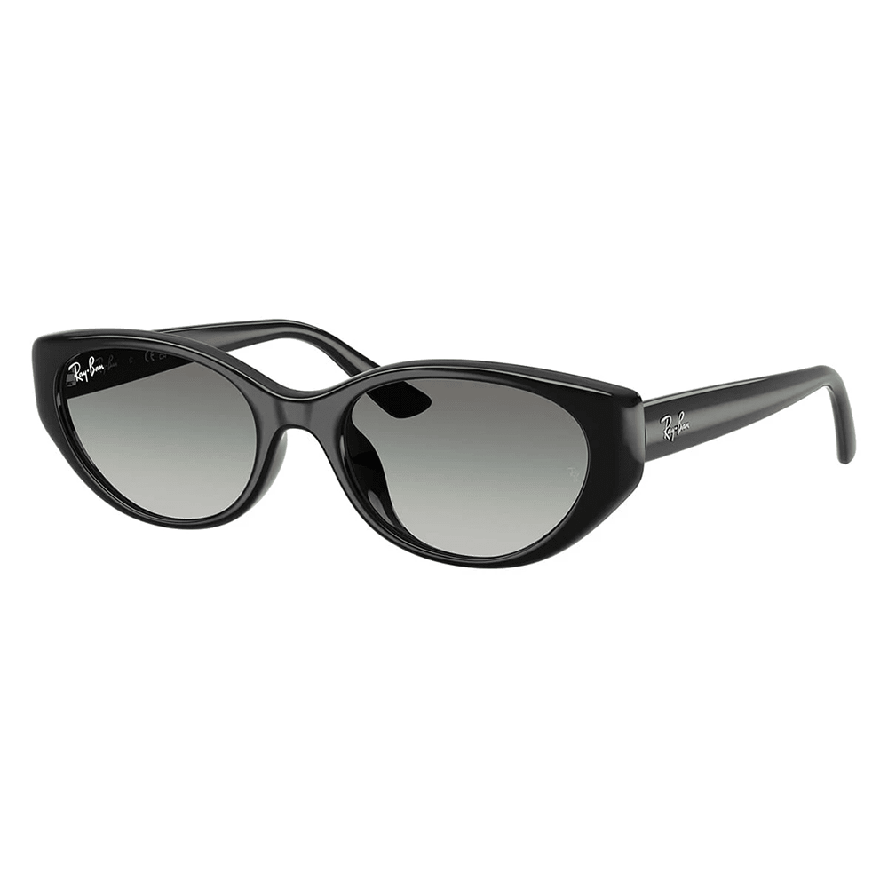 Ray-Ban RB4457D 667711 Sunglasses