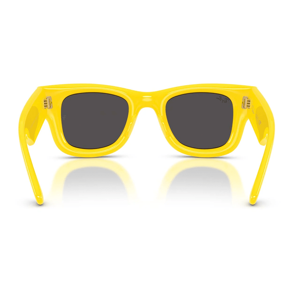 Ray-Ban Wayfarer Puffer RB4940 by A$AP Rocky Sunglasses - 6830/87