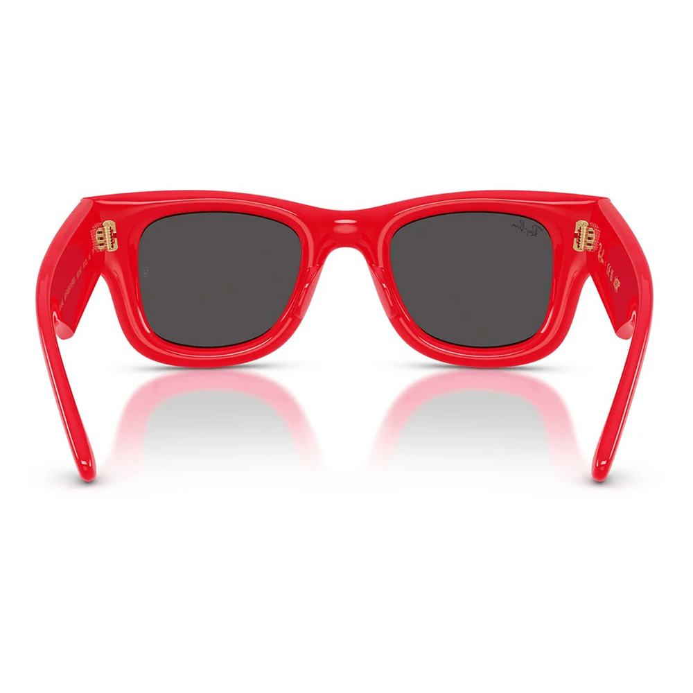 Ray-Ban Wayfarer Puffer RB4940 by A$AP Rocky Sunglasses - 6831/87