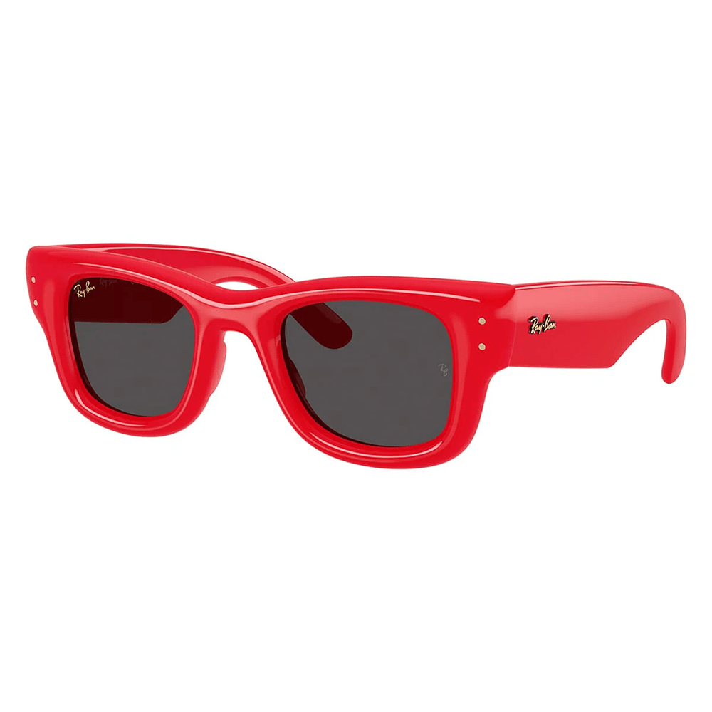 Ray-Ban Wayfarer Puffer RB4940 by A$AP Rocky Sunglasses - 6831/87