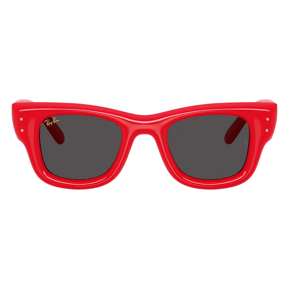 Ray-Ban Wayfarer Puffer RB4940 by A$AP Rocky Sunglasses - 6831/87