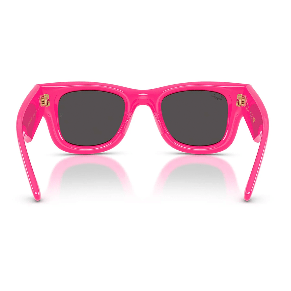 Ray-Ban Wayfarer Puffer RB4940 by A$AP Rocky Sunglasses - 6832/87