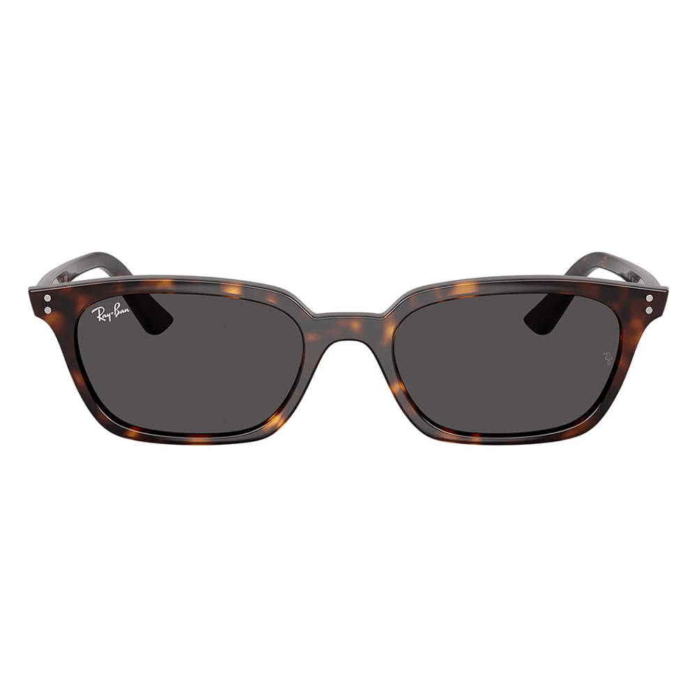 Ray-Ban Zaya RB4456 Sunglasses - 1359/87, Size 53