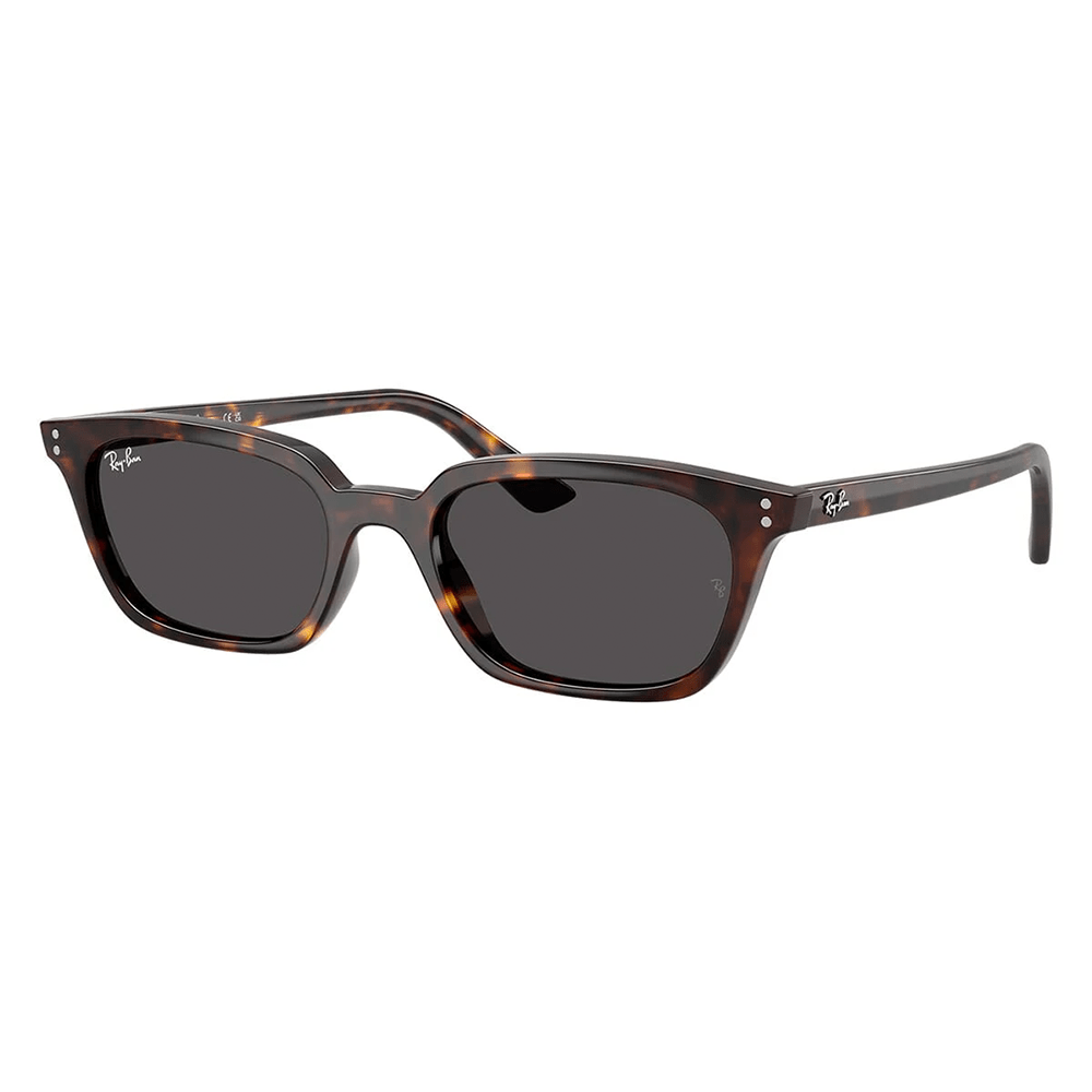Ray-Ban Zaya RB4456 Sunglasses - 1359/87, Size 53